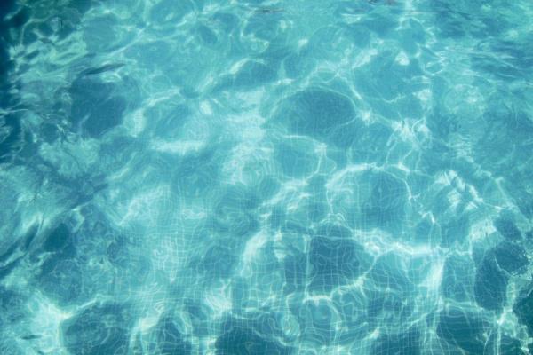 77年的蛇最忌什么颜色