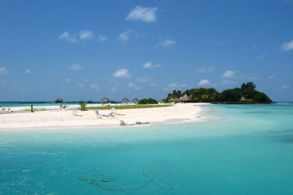 90年属马人如何旺财