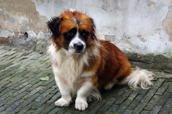 84年的鼠做什么生意能发财