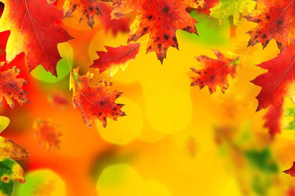 77年蛇女两个贵人是谁