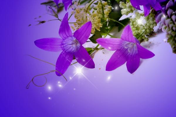 86年的虎今年的财运方位在哪里