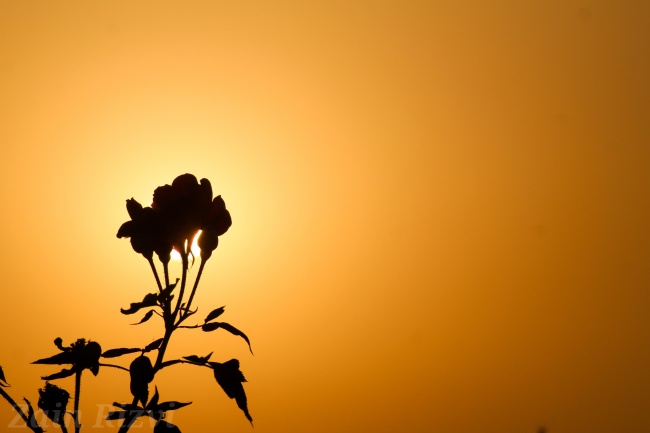 84年属鼠的财位在哪个方向