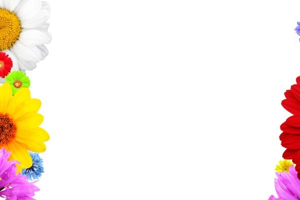 57年属鸡人下半年有凶兆吗