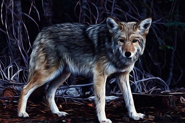 87年属兔2025年运势