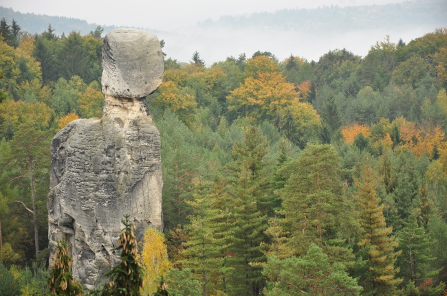 89年属蛇人2025年运势