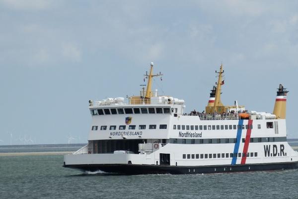 2006年属狗在2025高考顺利吗