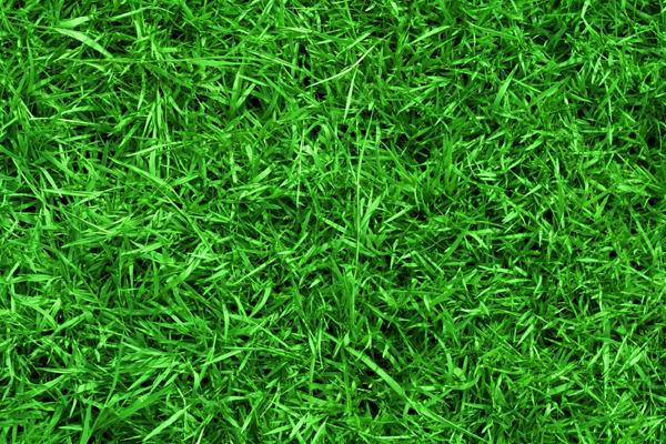 2025的蛇宝宝命运如何