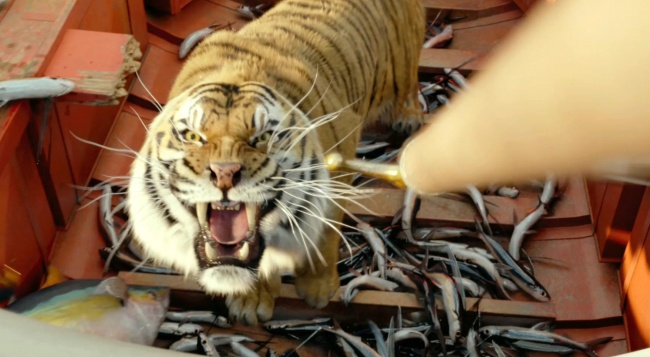 1983年属猪人2025年运势