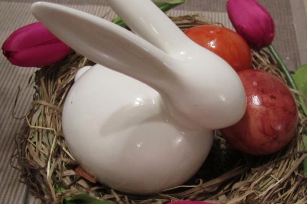 1965年蛇人在2025年的运气