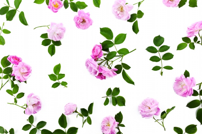 99年兔2025年的运势及运程