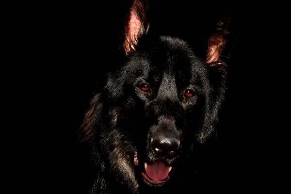 1985年属牛人在2025年的运气