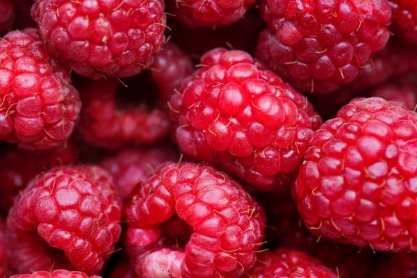 属猪2025年的五大预兆