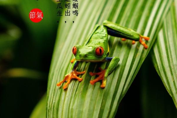 2025年5月哪天祈福好
