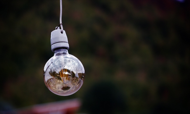 2025年属猪女财运