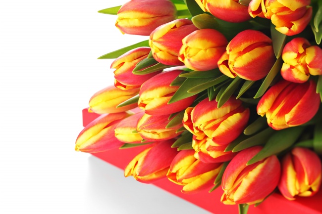 2025属蛇本命年怎么化解