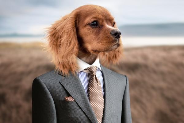 梦见校门口是好事还是坏事