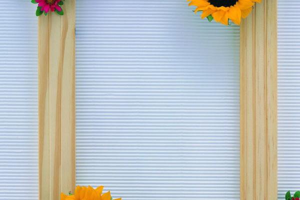 1983属猪招财数字