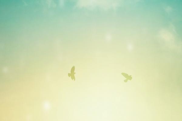 90属马一生大劫年