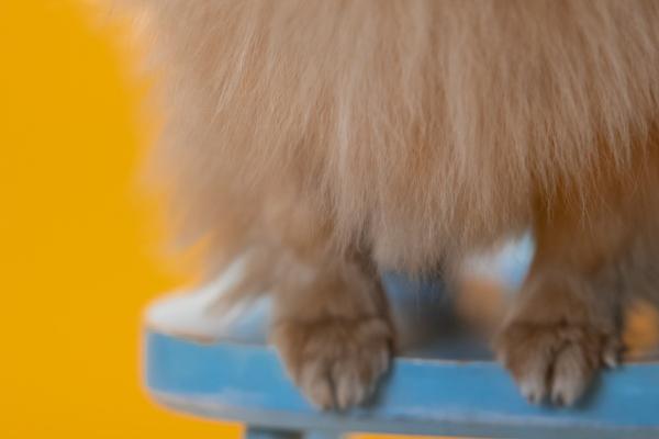 1983年属猪人一生灾难