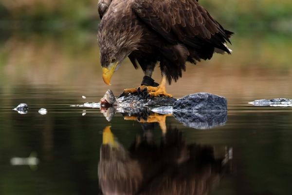2000年龙女灾难定是哪年
