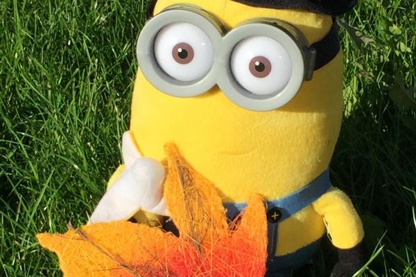 2012年属龙命好吗