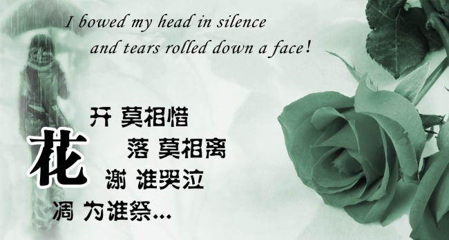 2025年属虎每月运势及运程