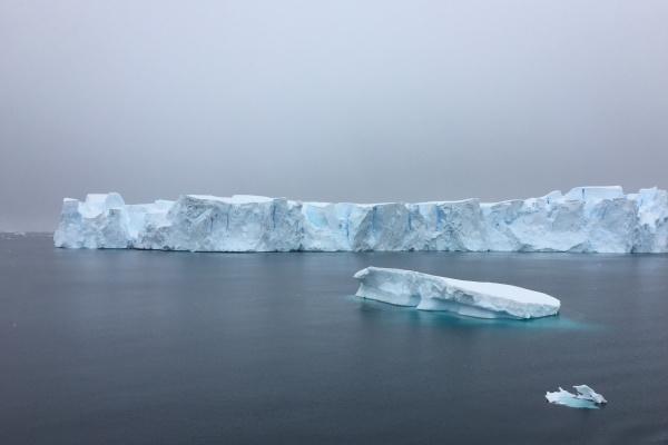 生肖兔在2025年的运势