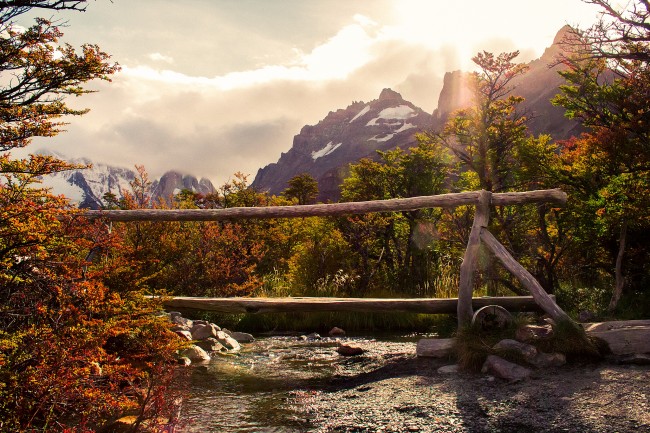 属猴人在2025年运势如何