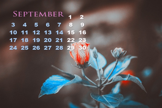 属虎2025年运气如何