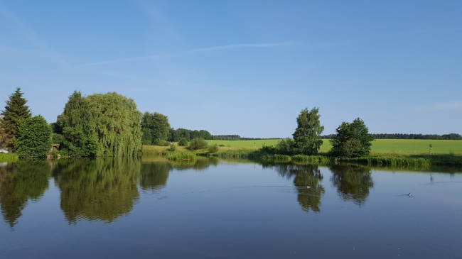 属虎忌农历几月出生