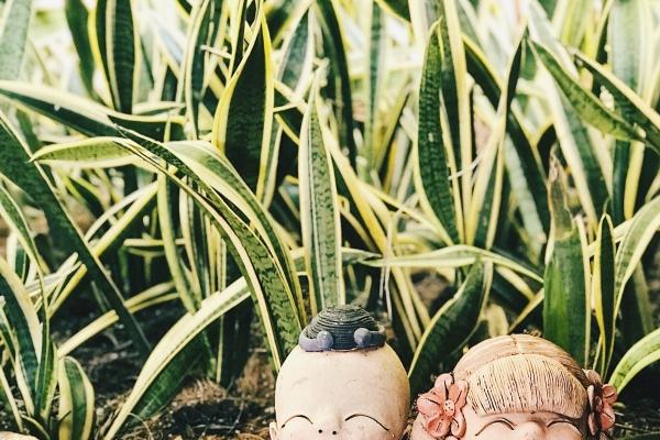 虎猴一家不贵必富,虎猴夫妻好不好