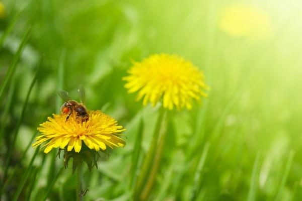 仙指阁运势 十二生肖一周运势2024.12.2-12.8