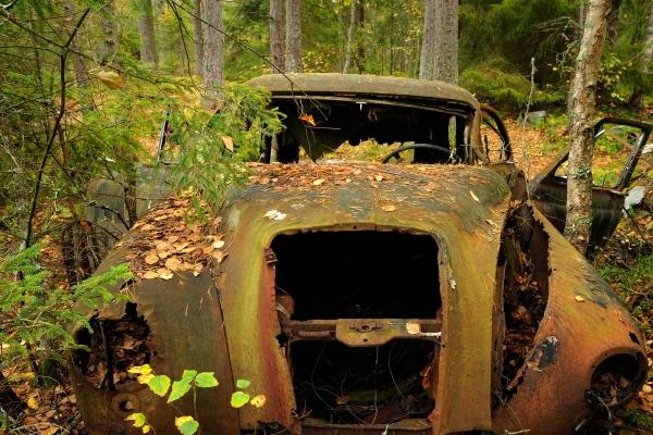 属羊2025年蛇年运势