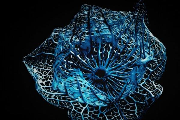 偏财运最好的生肖