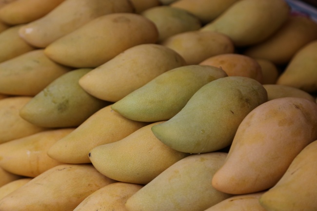 属蛇2025运气怎么样