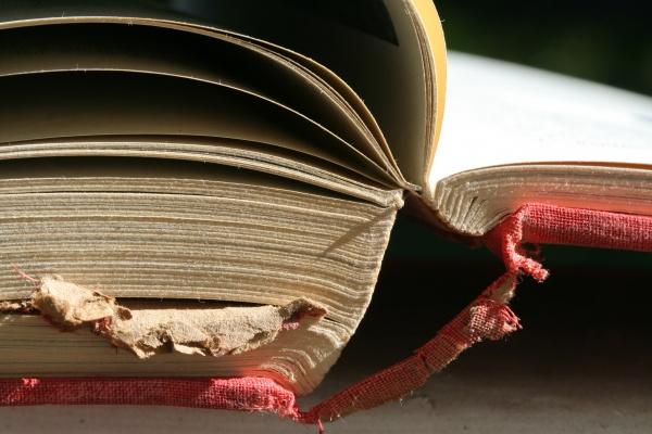 深爱属猪女的生肖男