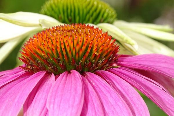 马宝宝几月份出生比较好呢