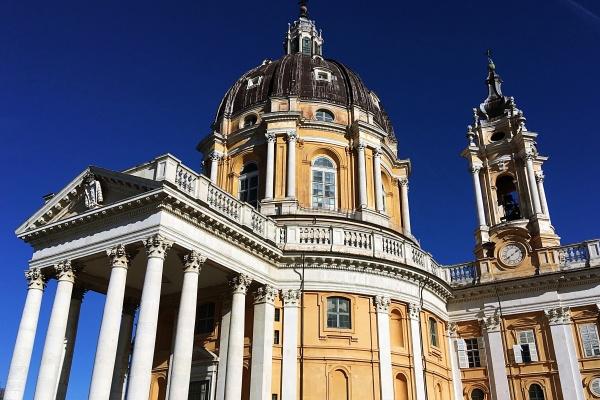 什么狗是苦命狗