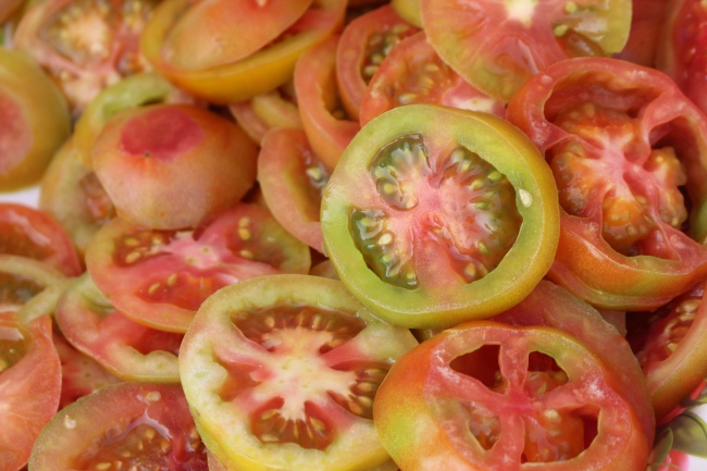 属狗下半年一道坎 是什么灾