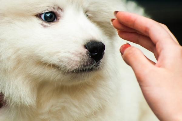 属羊的财运方位在哪里