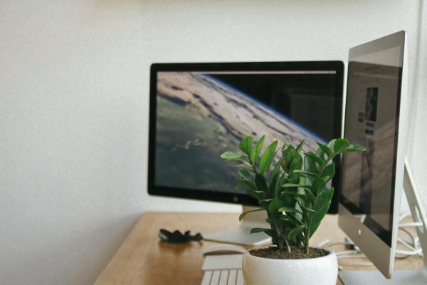 属蛇的不能佩戴什么