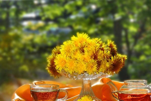 属蛇斗不过的生肖