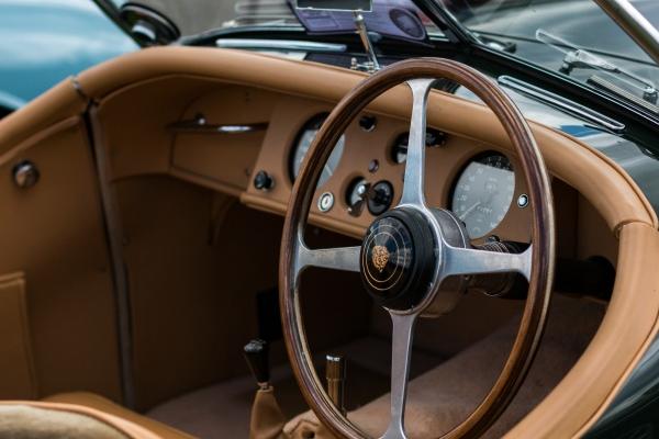 属牛人什么时候能好运,揭示属牛人的运势和命运