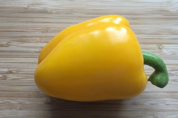 属马压得住什么生肖