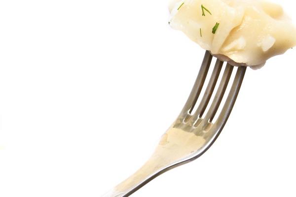 属兔的聪明还是属蛇的聪明