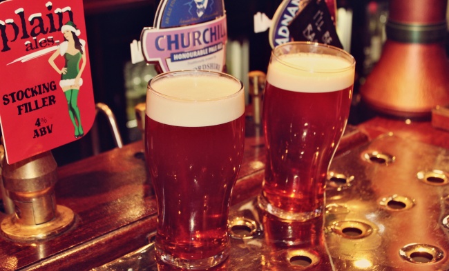 属牛人养什么植物最旺财