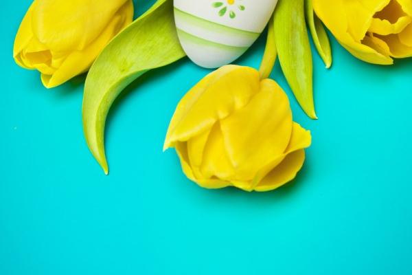 属蛇人最忌讳什么属相