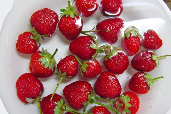 81年鸡2025年财运好吗