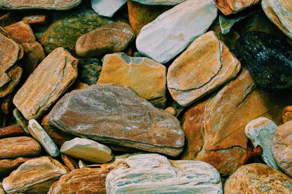 2025属牛要小心一个人,属牛要远离谁