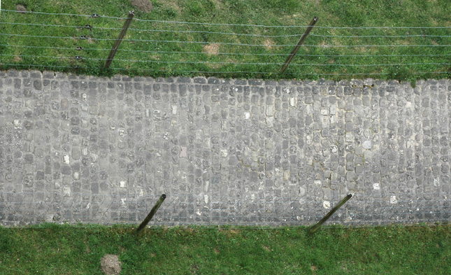 属鸡的人2025蛇好还是2026马好,未来两年运势发展怎样